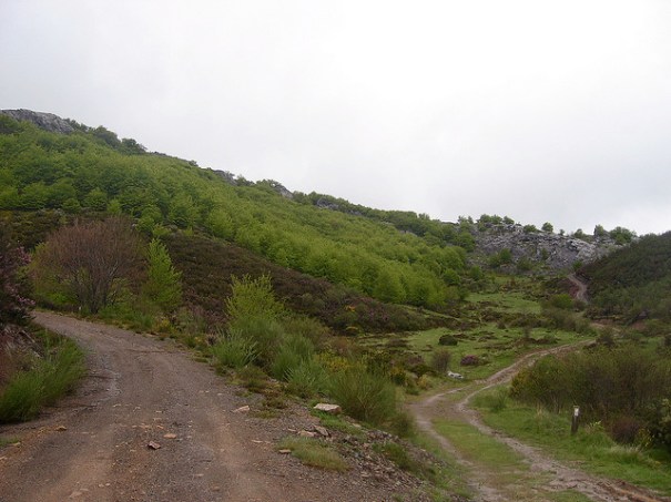 Bifurcación de Acebal