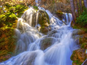 Naixement del Riu Cuervo, de Neus Bordas