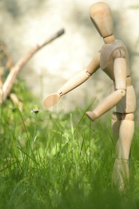 "In the Garden", de CitizenKane