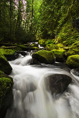"Baker Creek Falls", de Kyle Kruchok