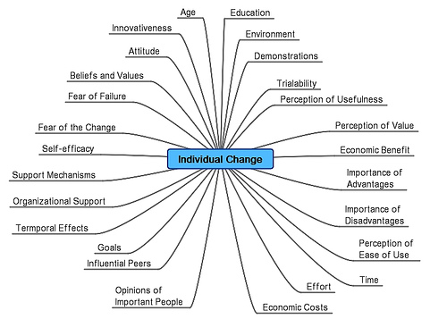 Factors que afecten els canvis individuals