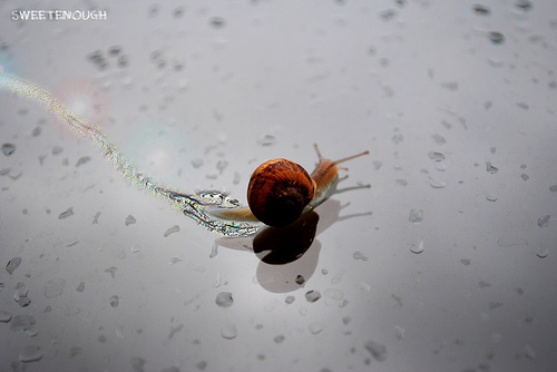 It's a kind of magic, de sweetenough al Flickr It's a kind of magic, de sweetenough al Flickr