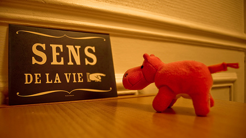 03.02.2010 the meaning of life, de opethpainter, al Flickr