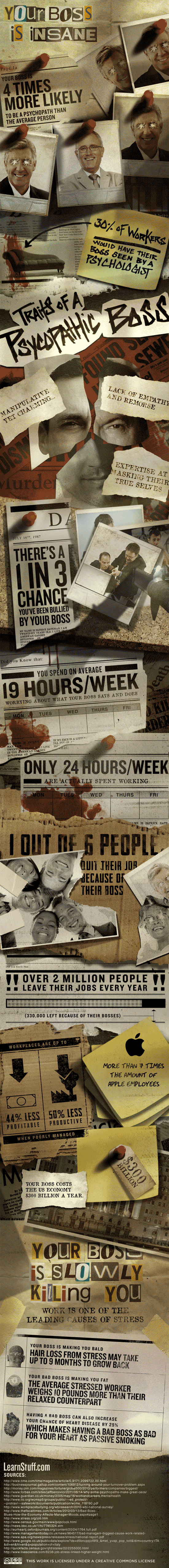 Your-Boss-Is-Insane by LearnStuff.com