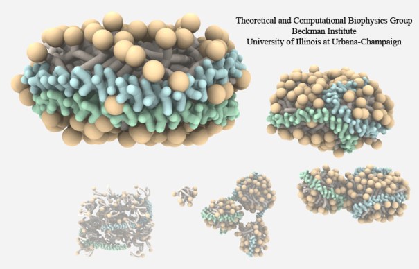 High-Density Lipoproteins (HDL-AO)