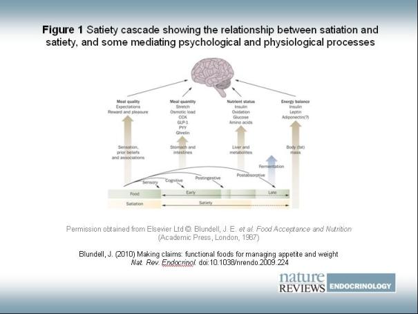 "Satiety Cascade", de J Blundell modified by D Mela, a Nature