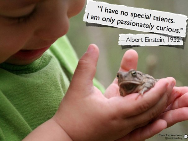 "Passionately curious", de Tom Woodward