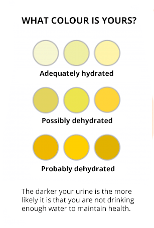 "Urine chart", a www.nyrnaturalnews.com