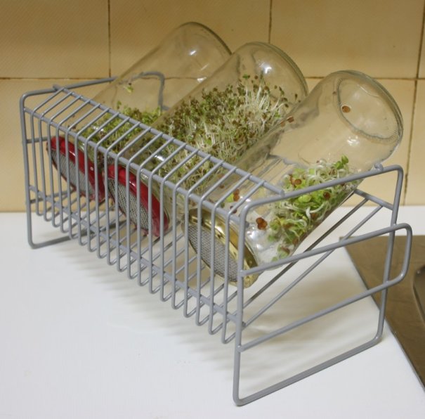 germinador casero a Germinadores caseros