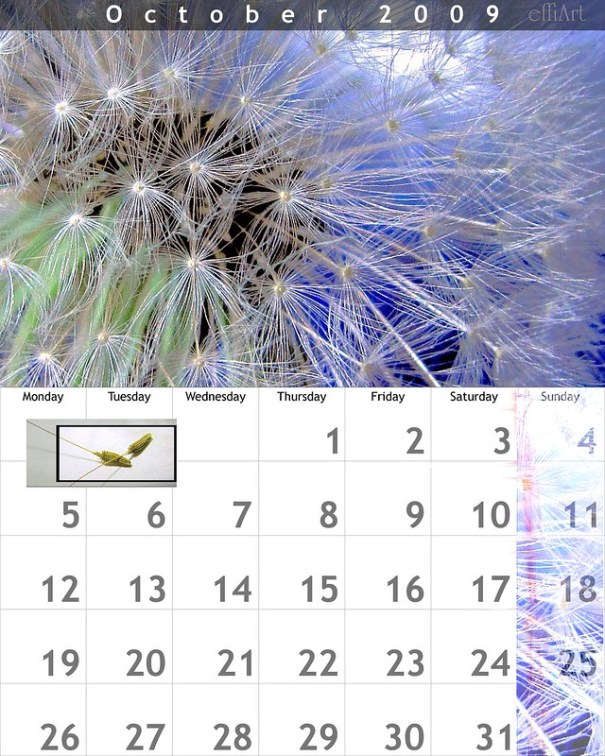 My almanac October 2009, de eagle1effi, al Flickr